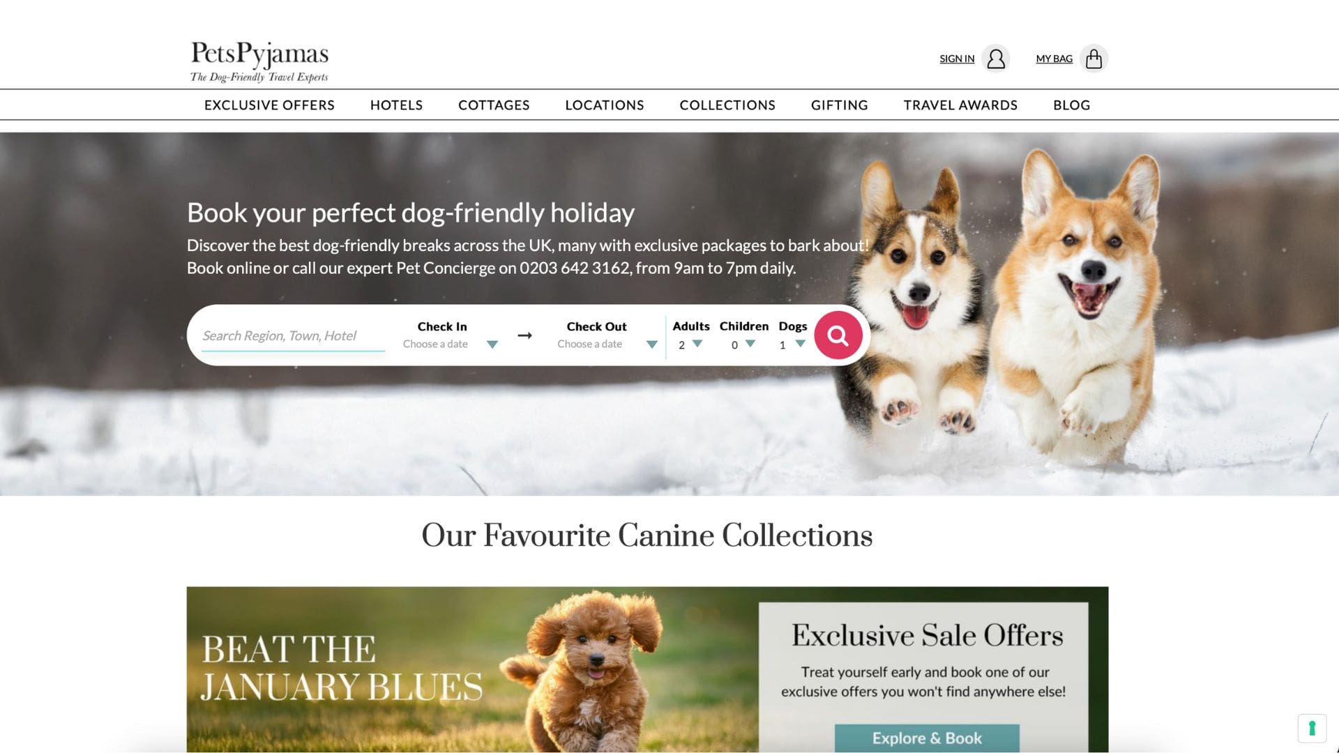 Pets Pyjamas Pet Friendly Places to Stay
