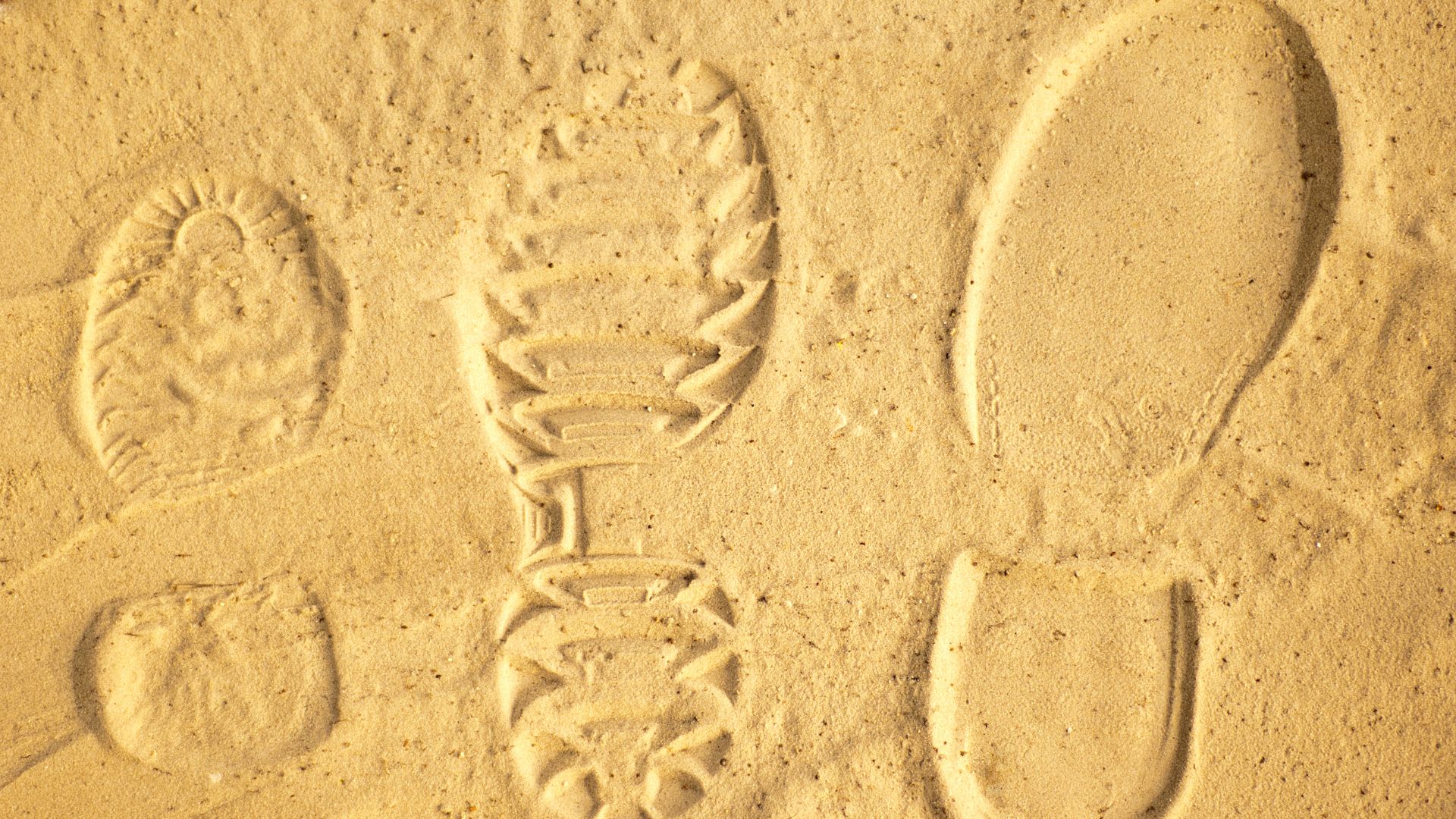 hospitality web - digital footprint