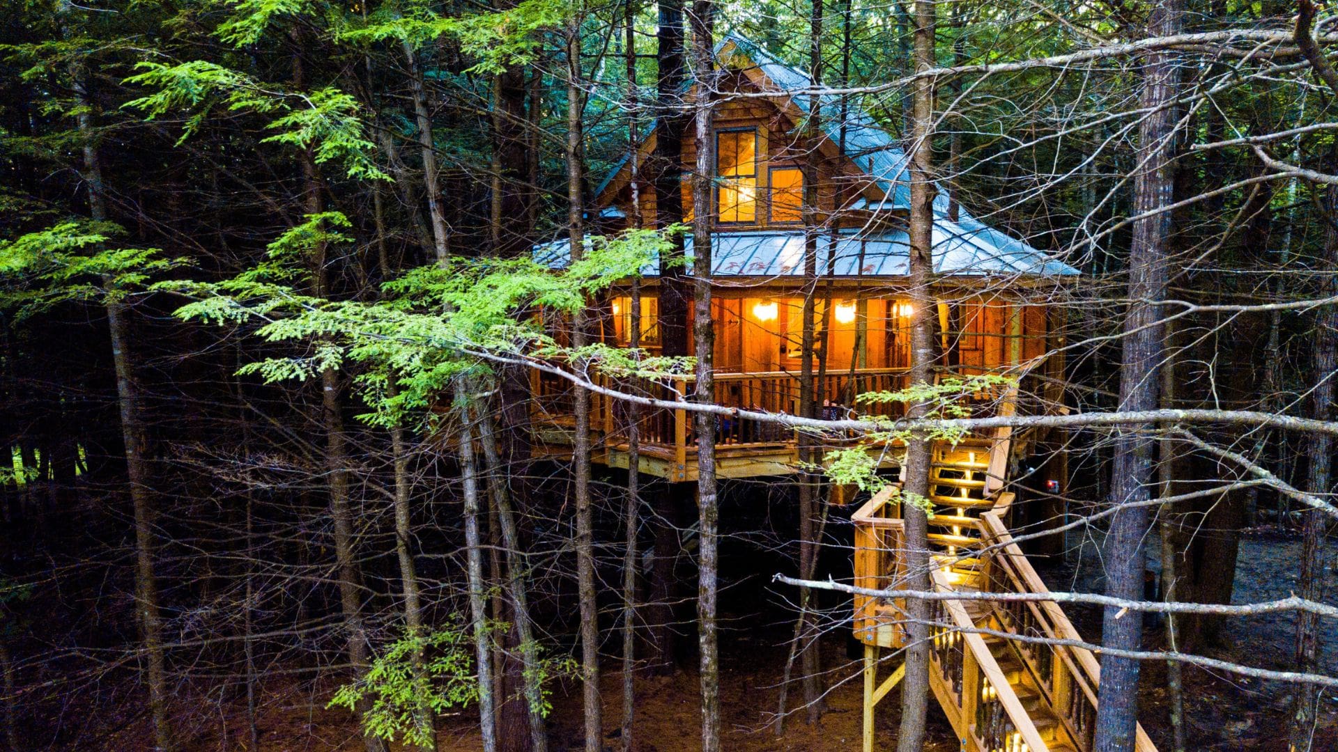 Tree house midcoast Maine