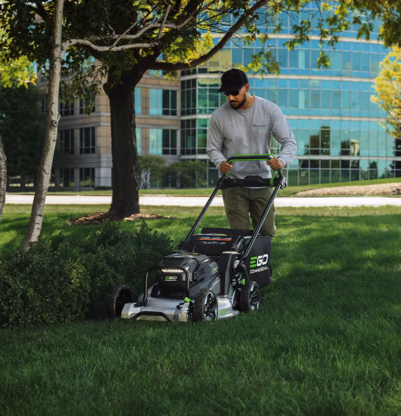 Lawn Mowing