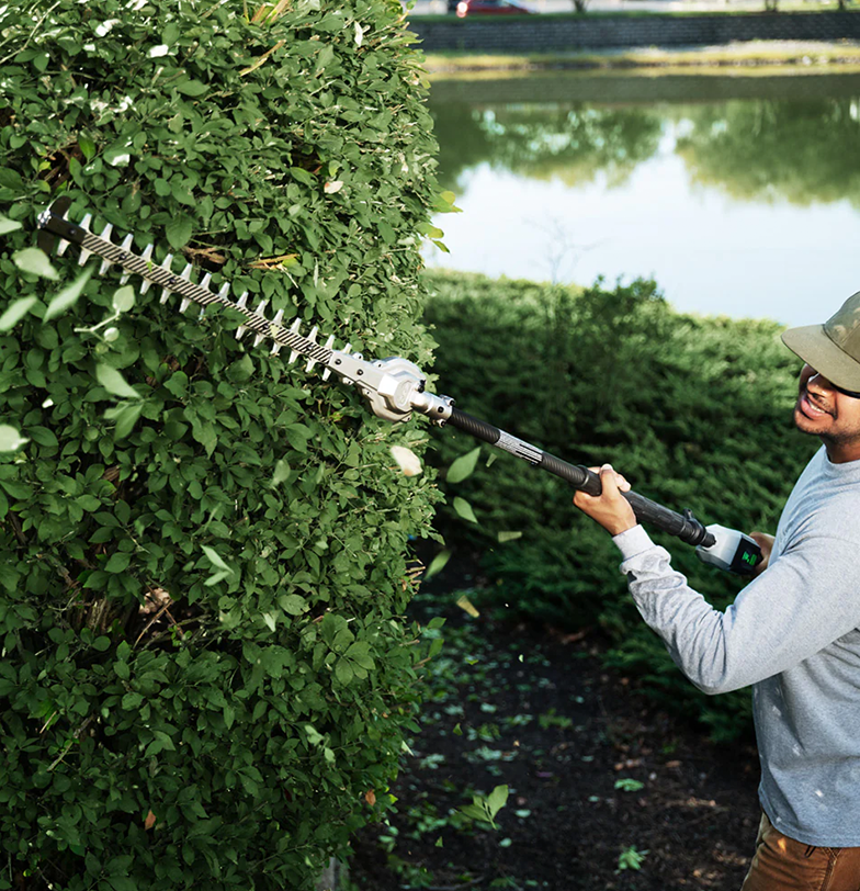 Hedge Trimming
