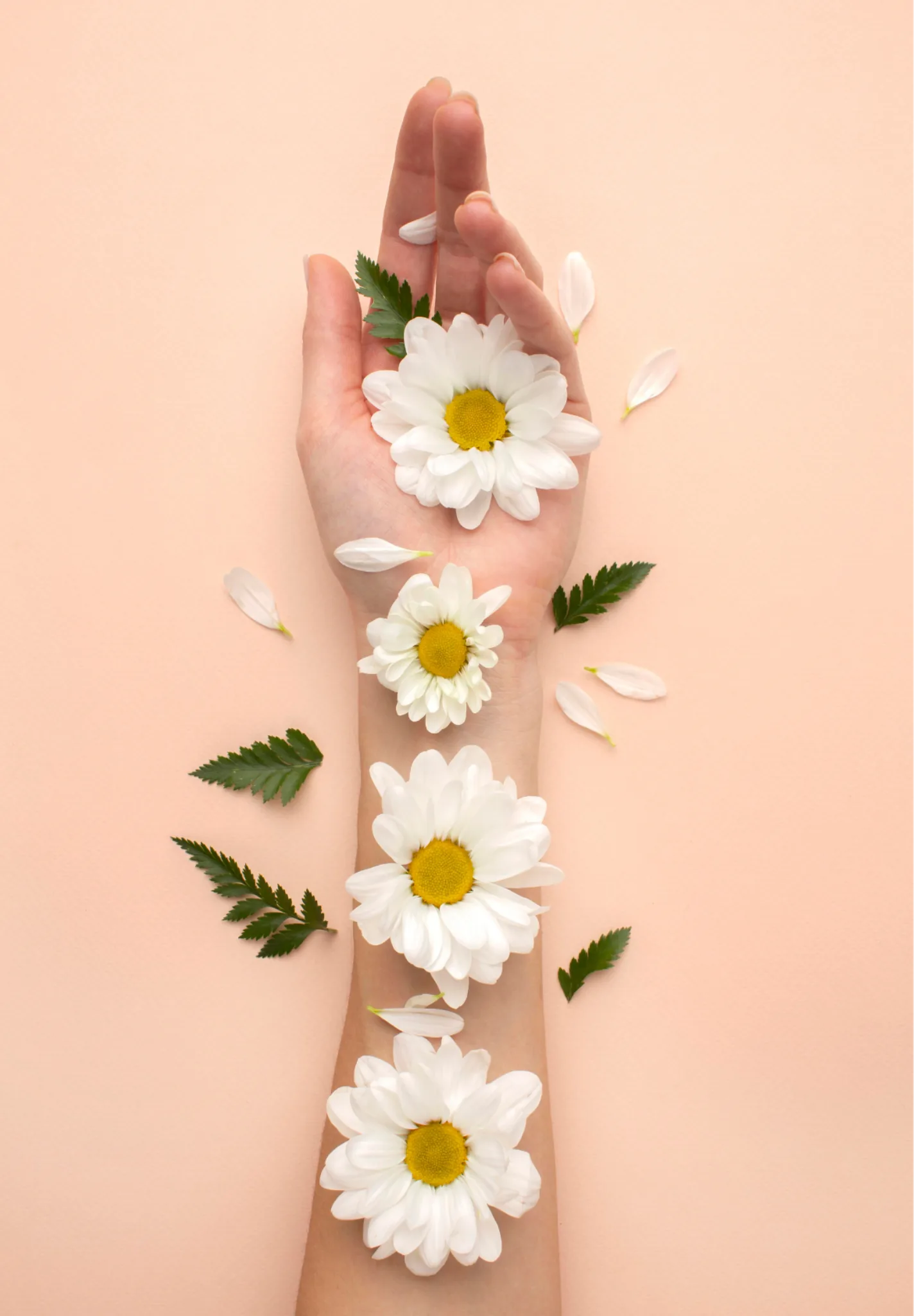 Espace chaleureux illustrant une séance Reiki à domicile avec bougie, fauteuil et plante – Harmonies & Énergies