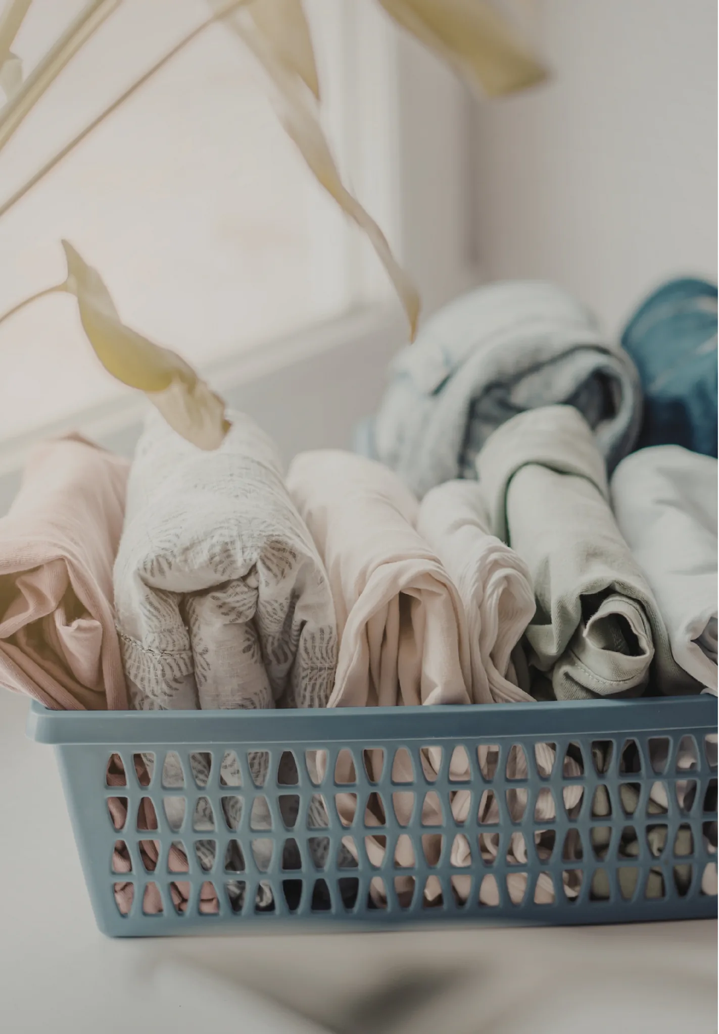 Illustration d’une séance de Reiki à distance en visio sur ordinateur – Harmonies & Énergies, soins énergétiques 7j/7