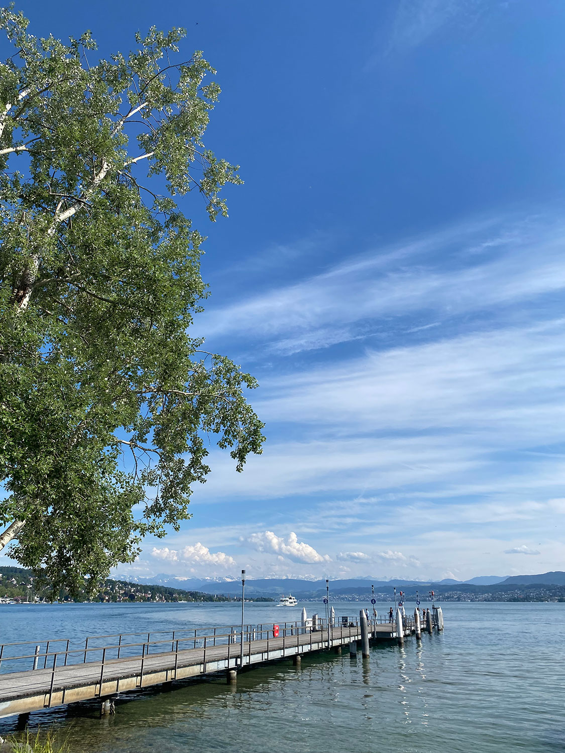 SUP Rental Location Zürichhorn