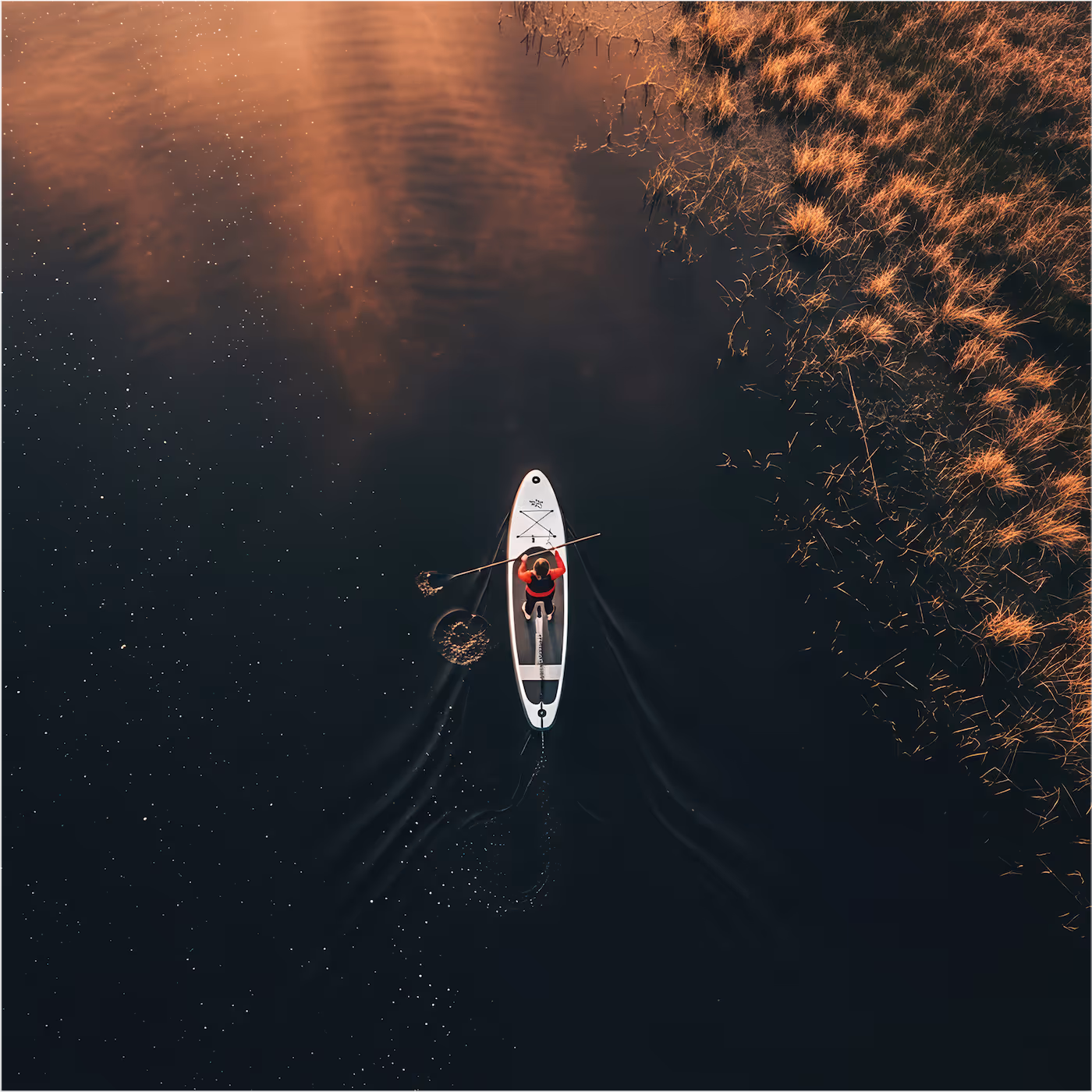 Bovenaanzicht van een bootje dat door een natuurgebied vaart.