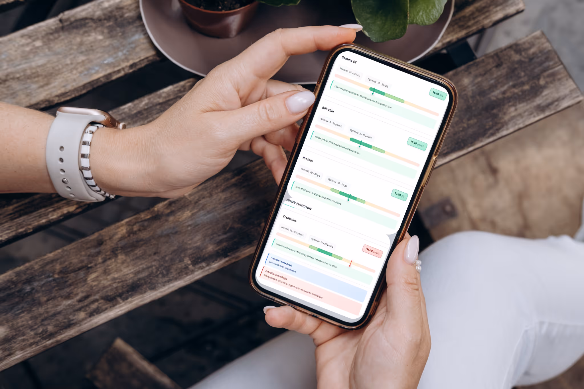 Interactive Report Preview