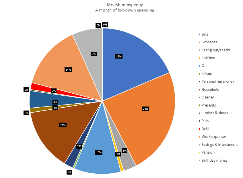 Lynn spending pie chart