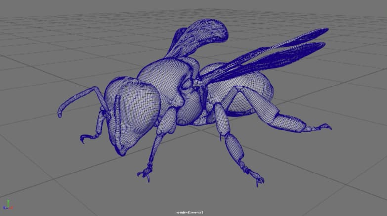3D model of bee