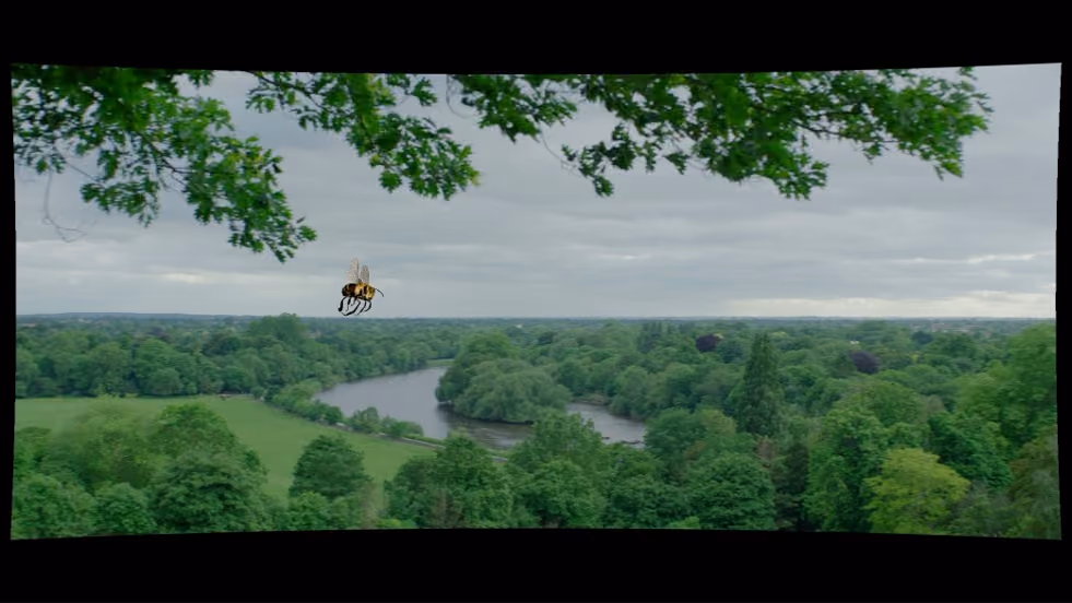 Screenshot of the bee in colour