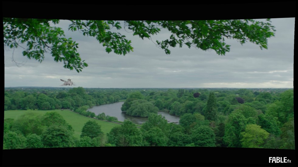 Screenshot of bee in tv ad