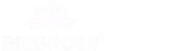 bid group logo