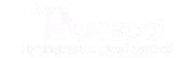 bamboo logo