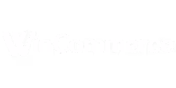 viet credit logo