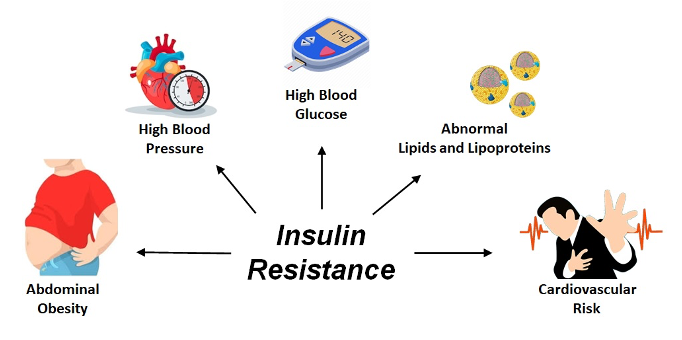 Type 2 Diabetes 101 — Precision Health Reports