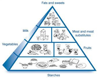 General principles for diet for diabetic patients