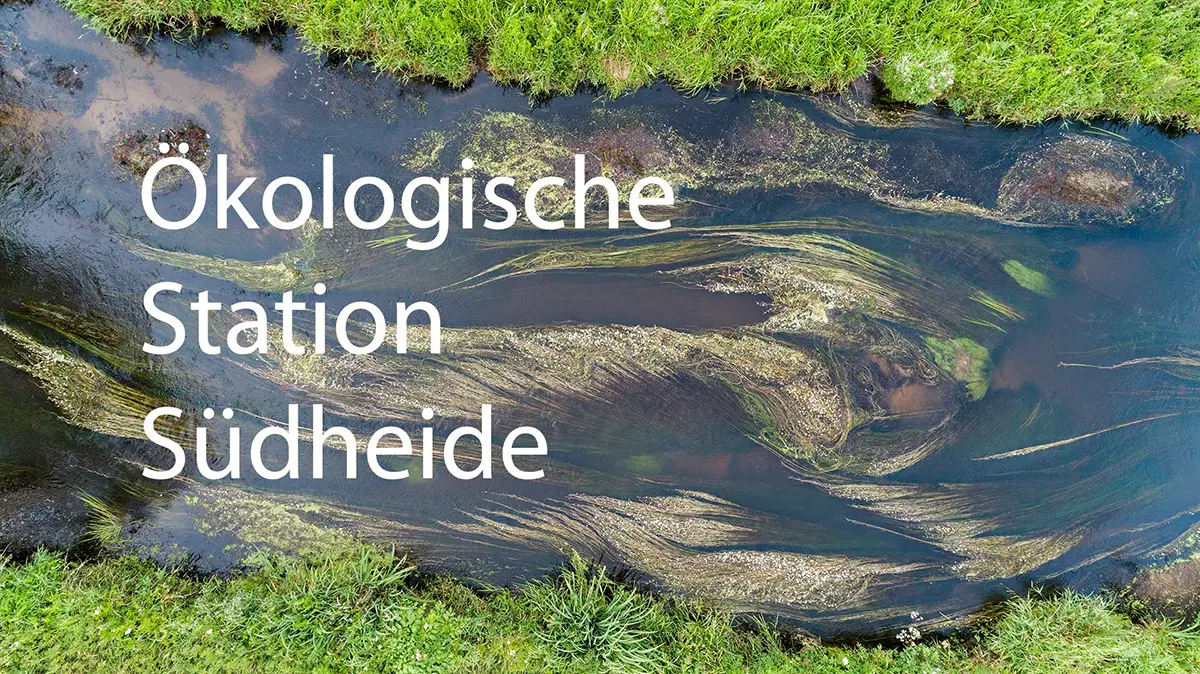 Detailierte Bildbeschreibung inkl. SEO-Schlagwörter