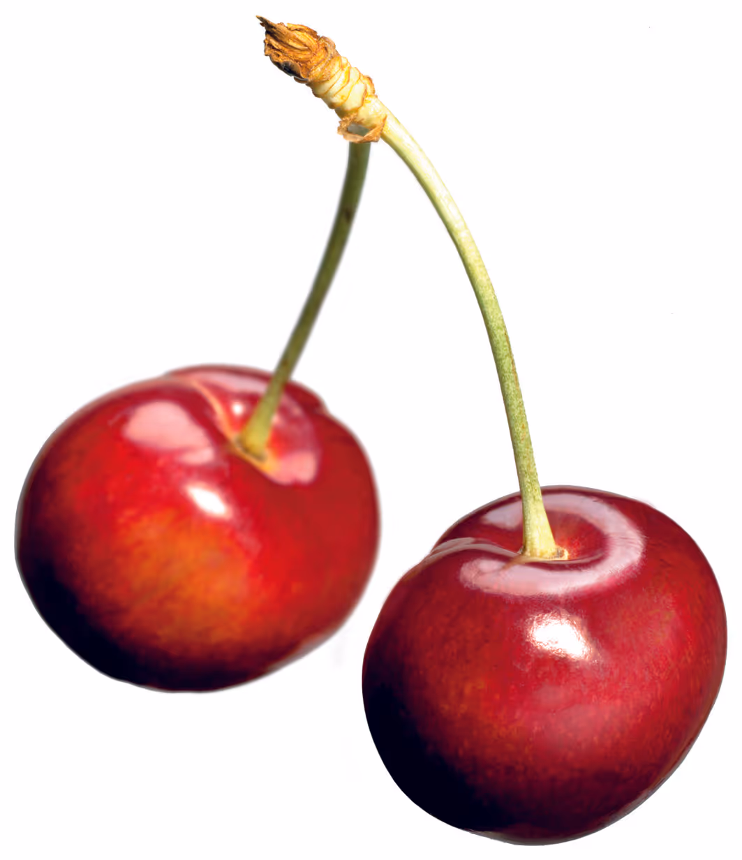 Kirschen