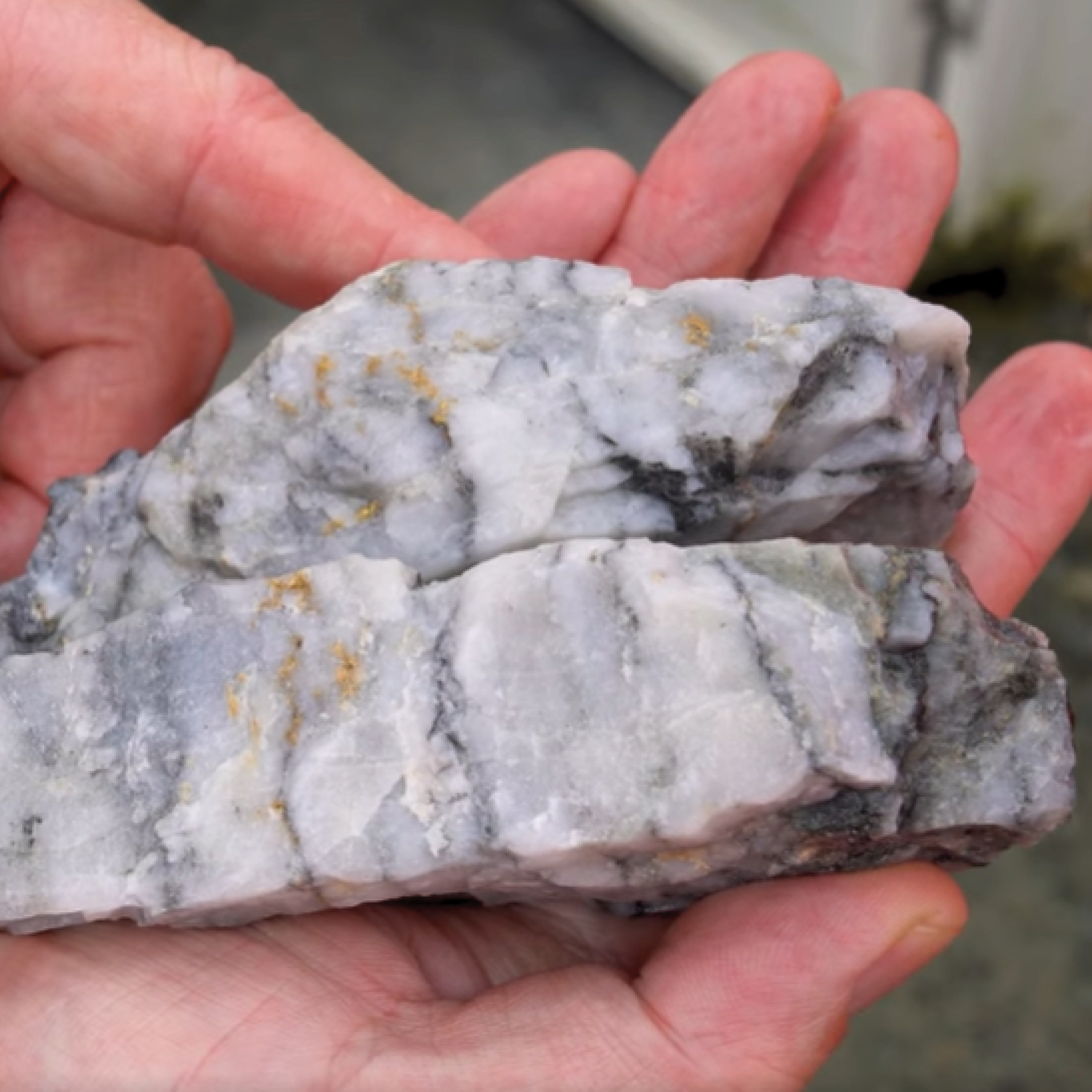 Snowy River Gold Mine