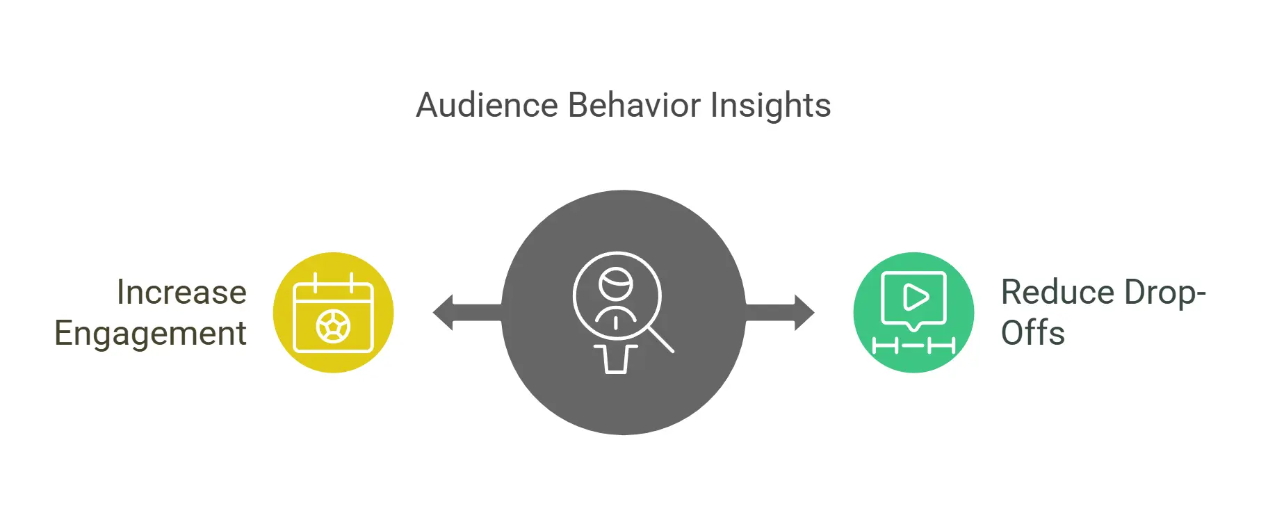 audience behavior insights