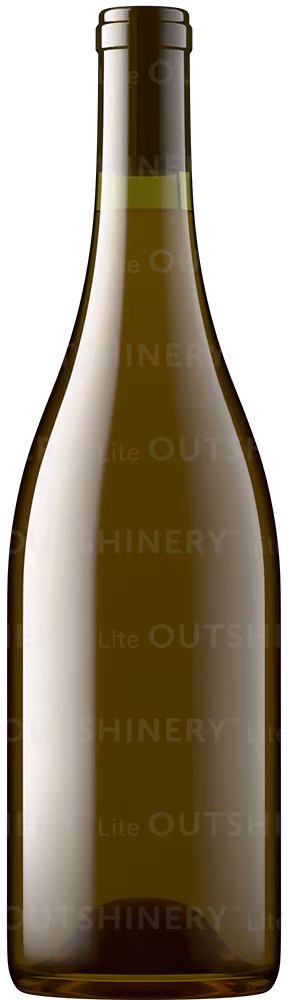 Wine bottle shot in antique green glass with pale salmon liquid, showing glass and wine color combination in Outshinery Lite