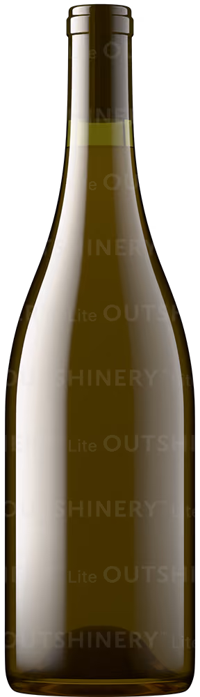 Wine bottle shot in antique green glass with pale berry liquid, showing glass and wine color combination in Outshinery Lite