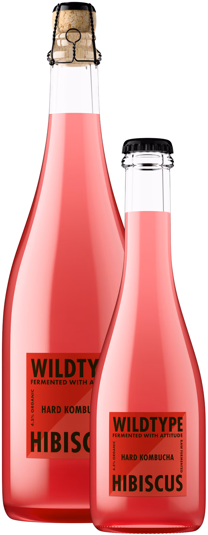 WildType Hard Kombucha bottle shot at angle, pink glass beverage product photography by Outshinery Lite