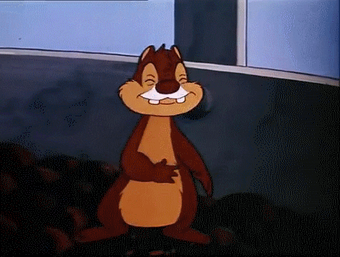food hungry full chipmunk stuffed