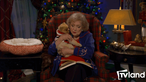 TV Land Classic funny christmas holidays tv shows