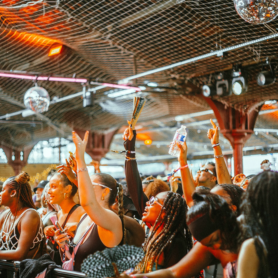 A large group of people at a concert.