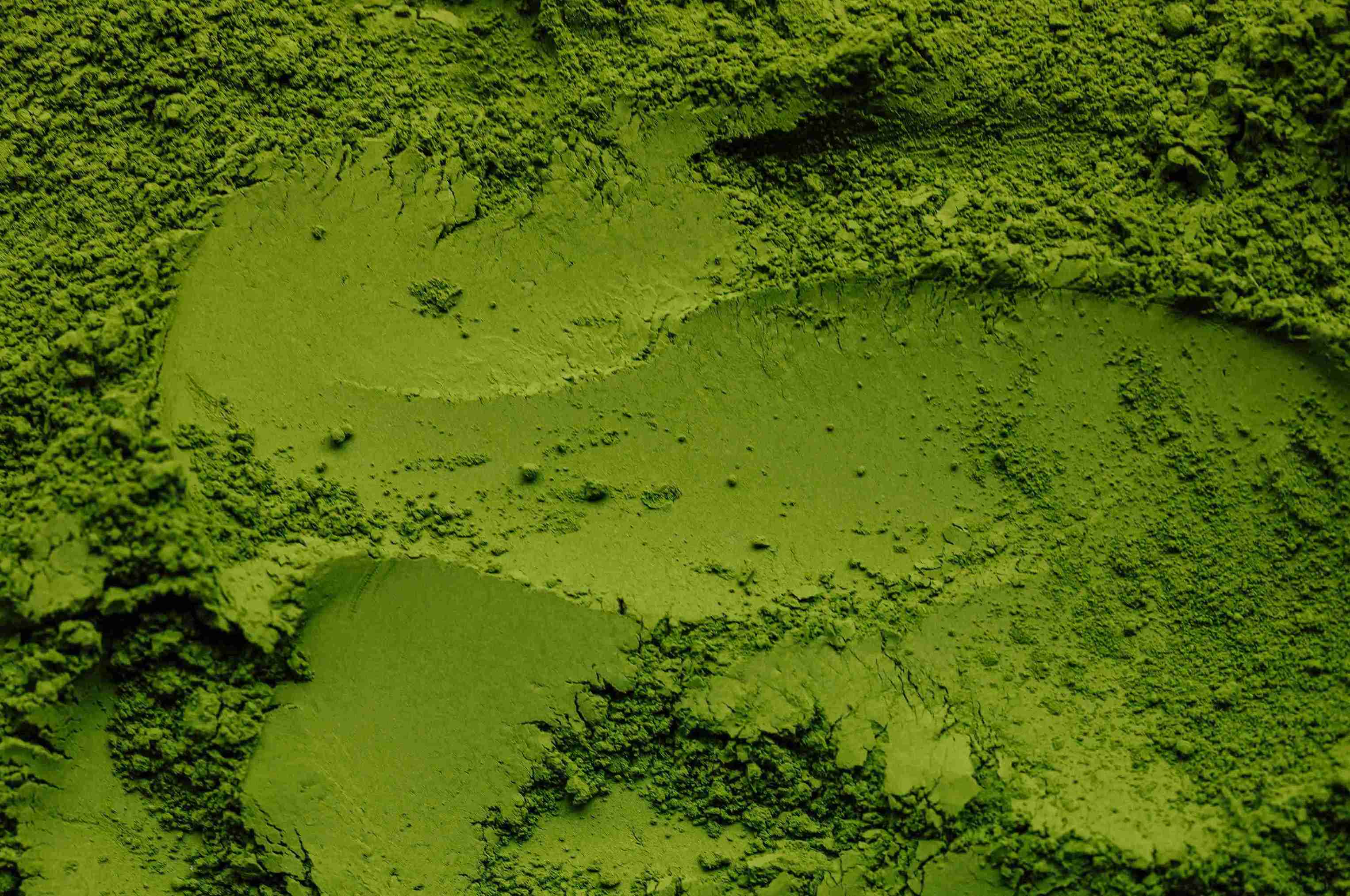 Uji Matcha