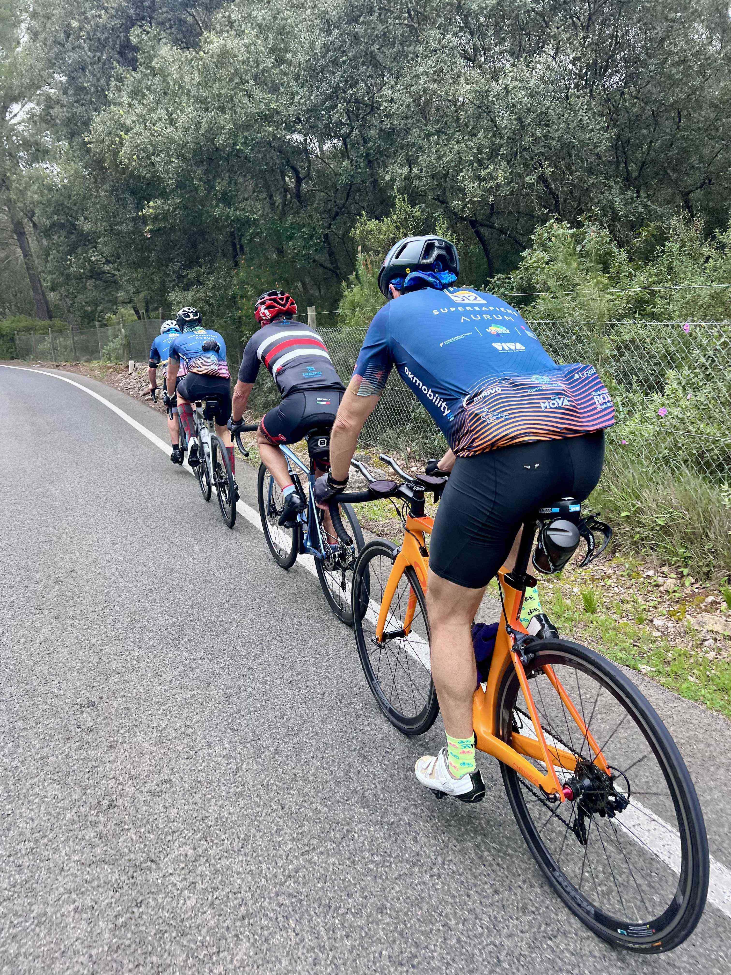 cycle camp image