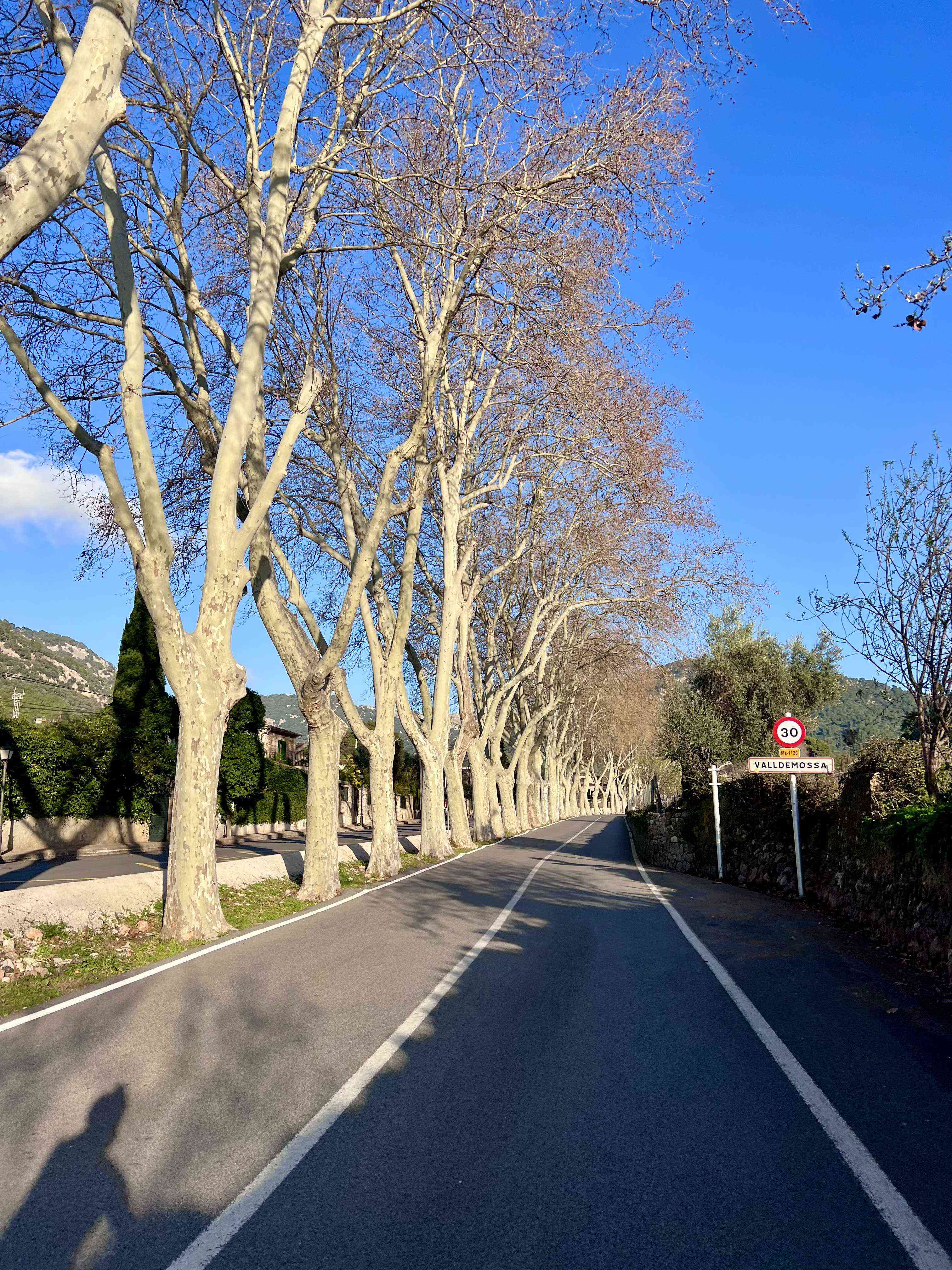 cycle camp image
