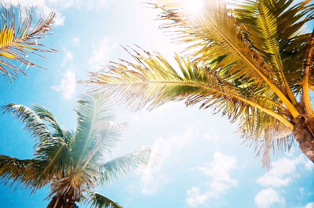 How I Ride Through the Heat in Mallorca, Without Melting