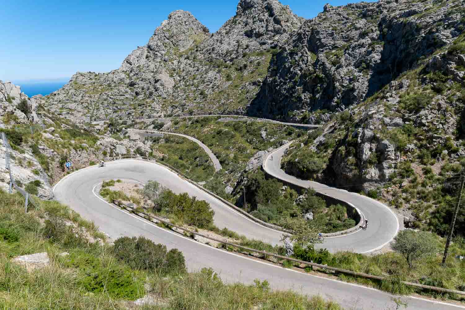 cycle camp image