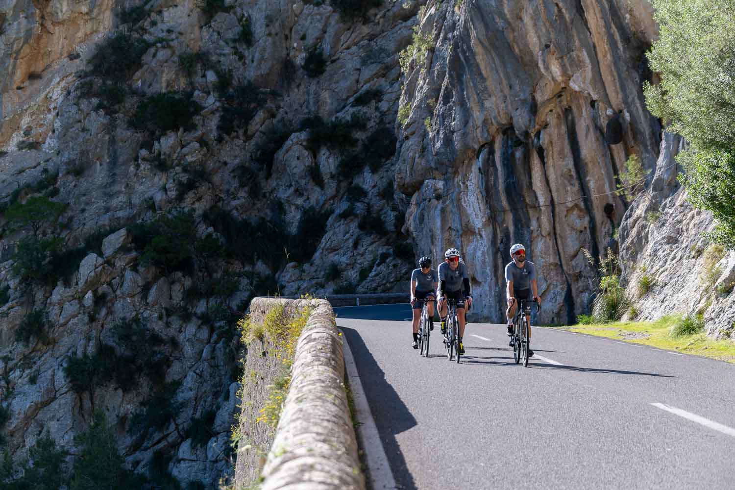 cycle camp image