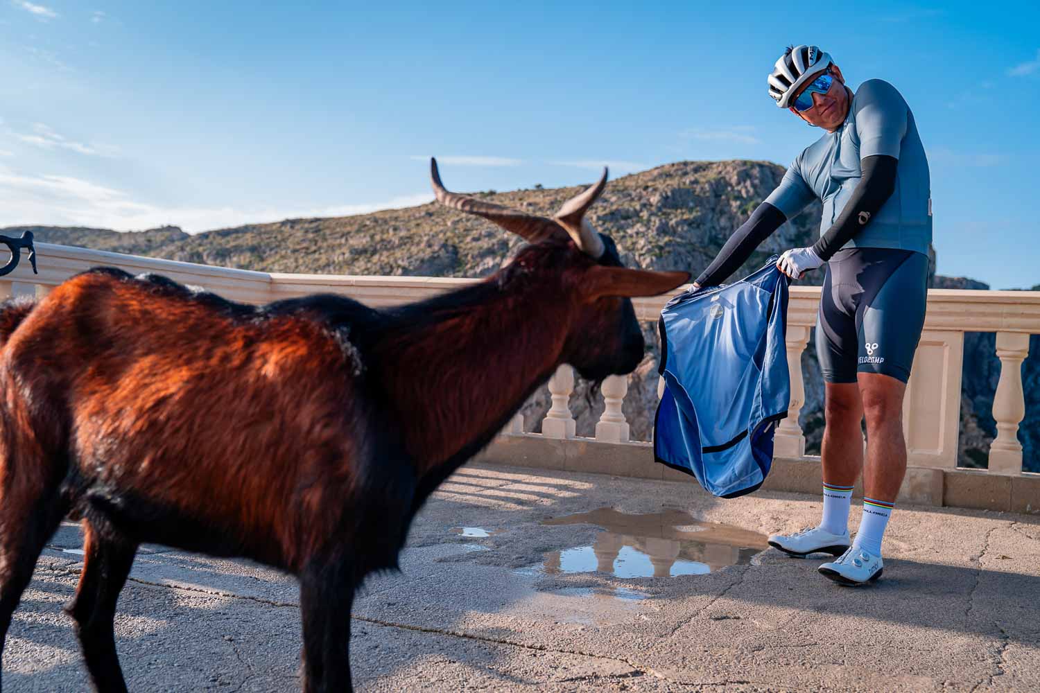 Cyclist with goat