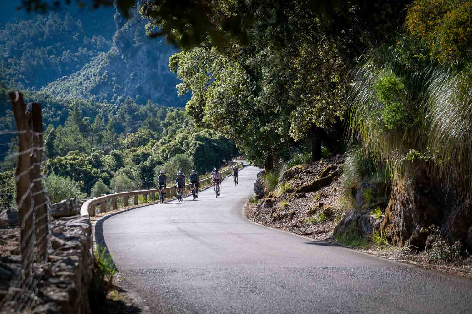 Cyclists climbing to Coll Dels Reis