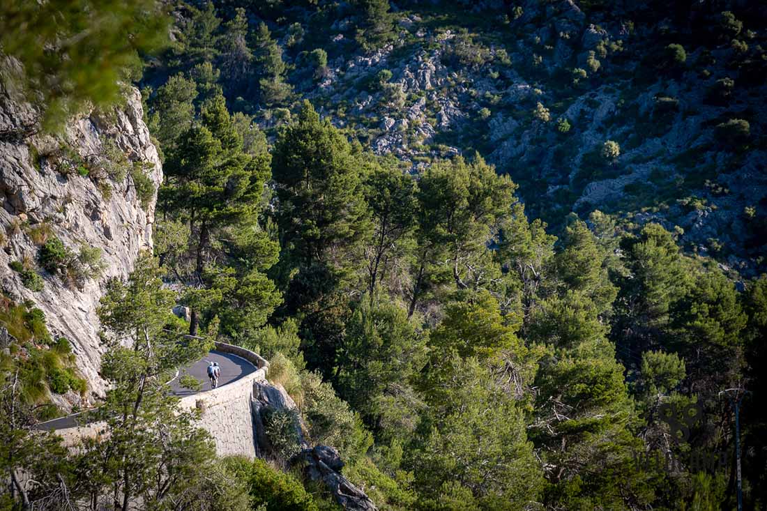 From Peloton to Mallorca: Why Thousands of American Cyclists Are Taking the Next Step