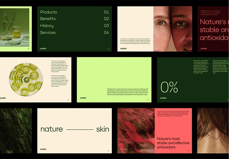 Collage of green and beige product presentation slides featuring text about products, benefits, history, services, antioxidant properties, and nature and skin, with close-up images of eyes, sliced kiwi, skin textures, and abstract natural patterns.