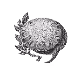 Black and white illustration of a hand washing in a bowl of water.