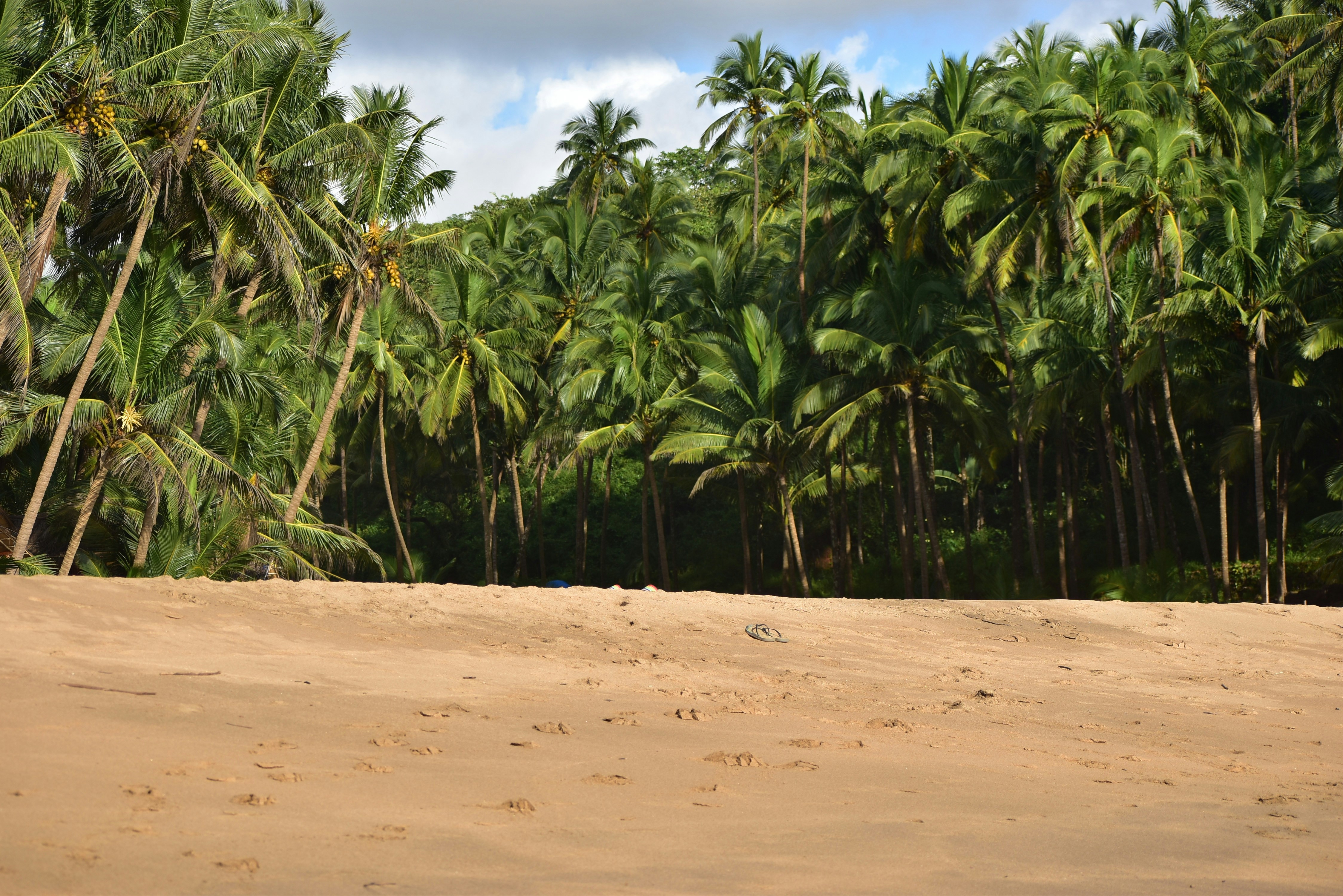How to obtain the Anjouan iGaming licence in just 4 weeks