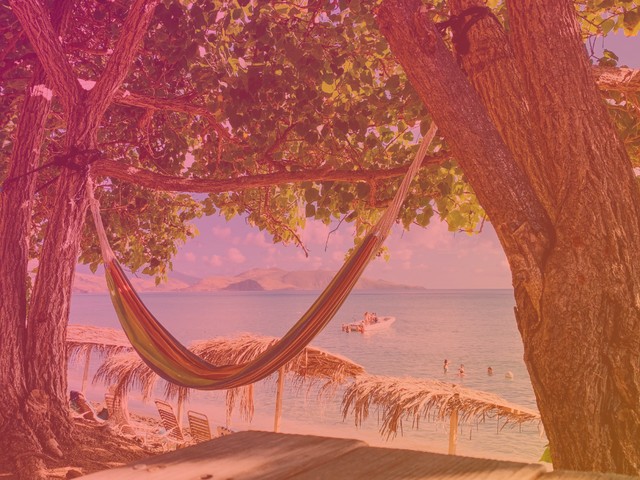 Is a Nevis gaming licence the one for 2027? 