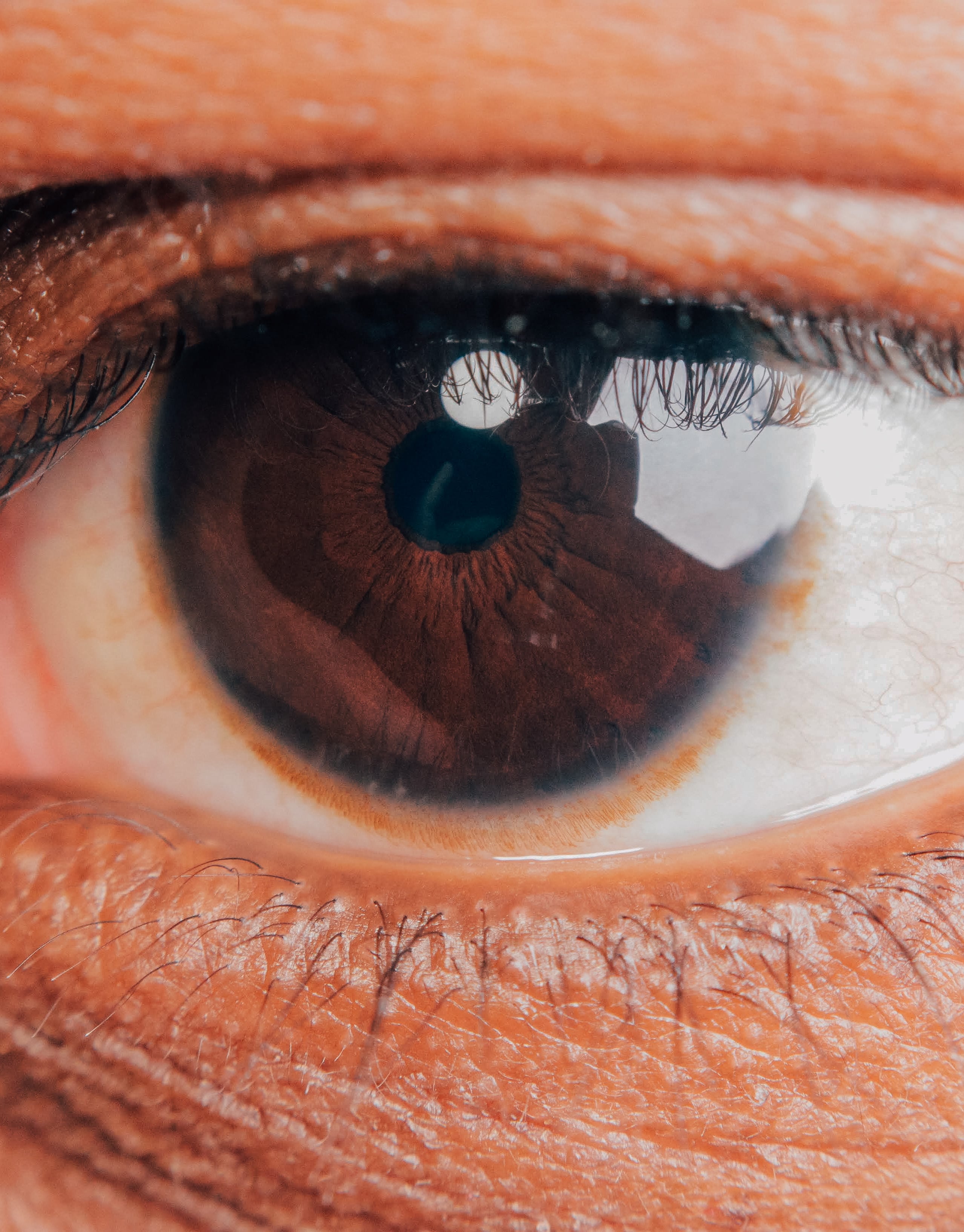 Extreme close-up of a human eye with detailed iris and eyelashes