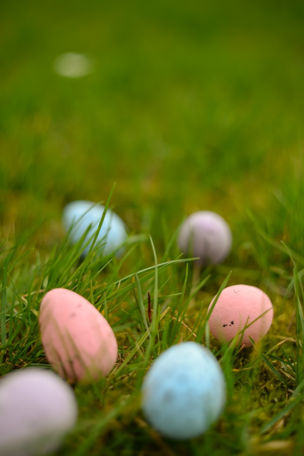 Chasse aux oeufs de Paques
