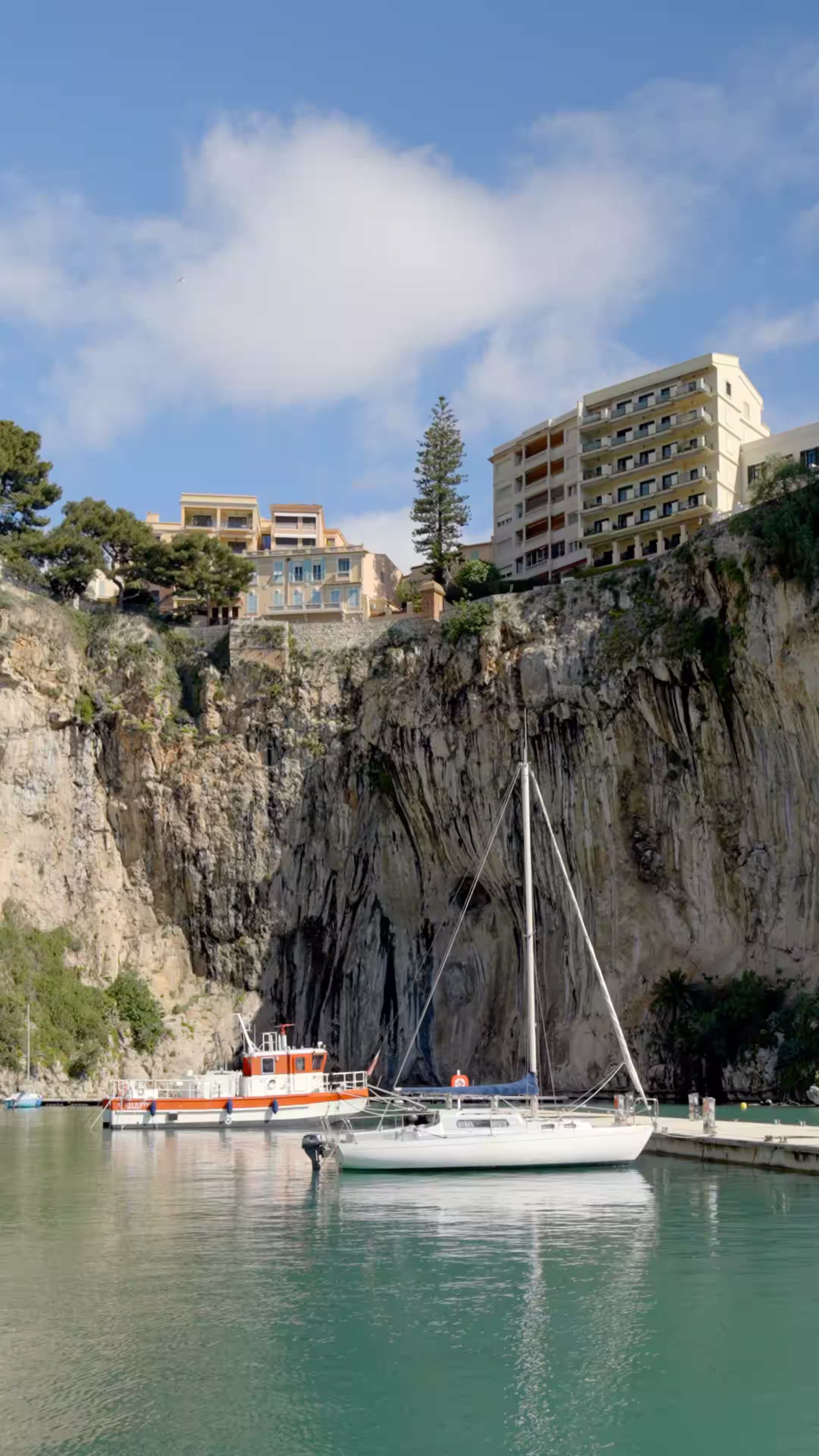 Fontvielle port in Monaco