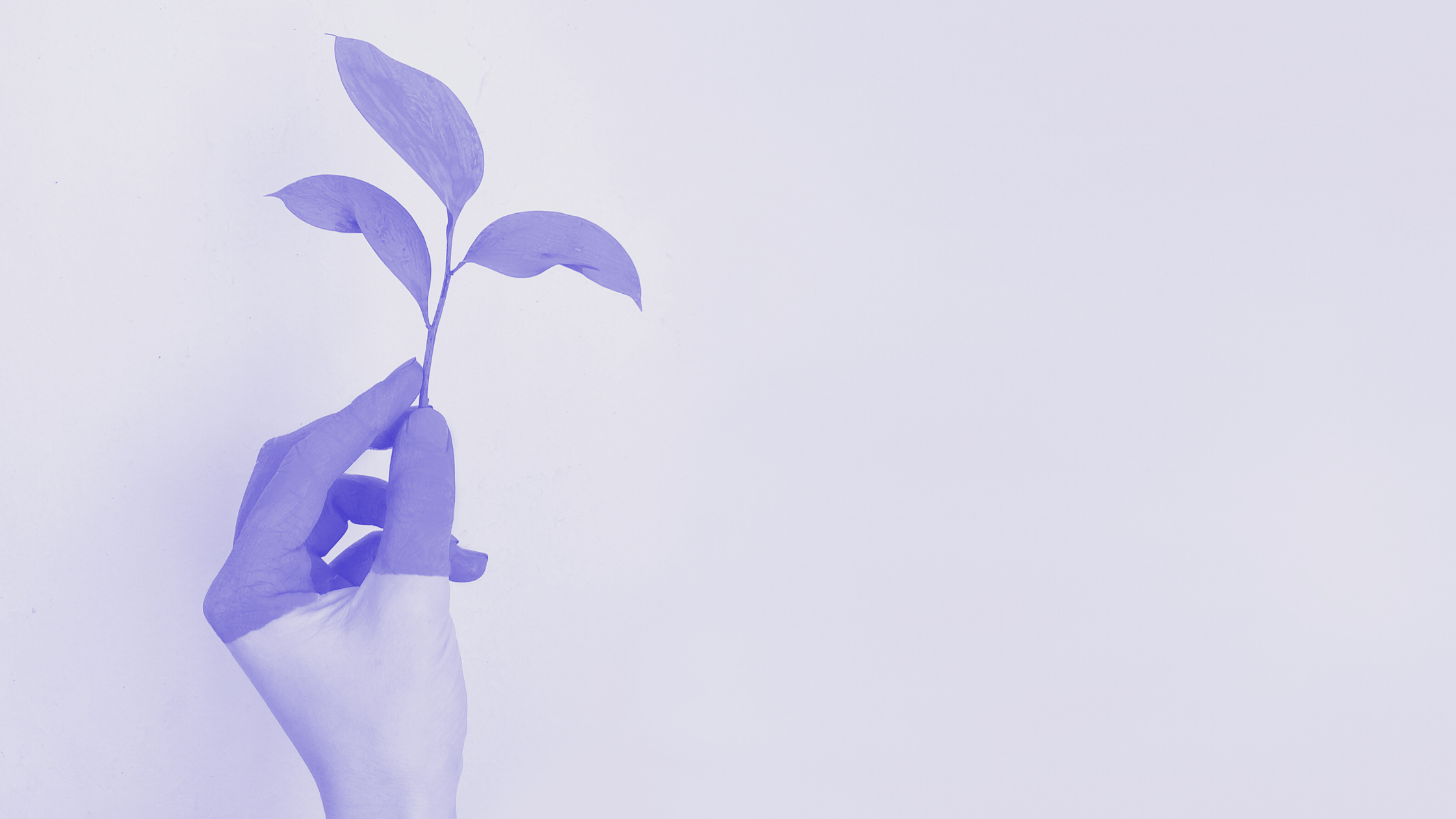 Revenue Operations: Streamlining Processes for Business Growth