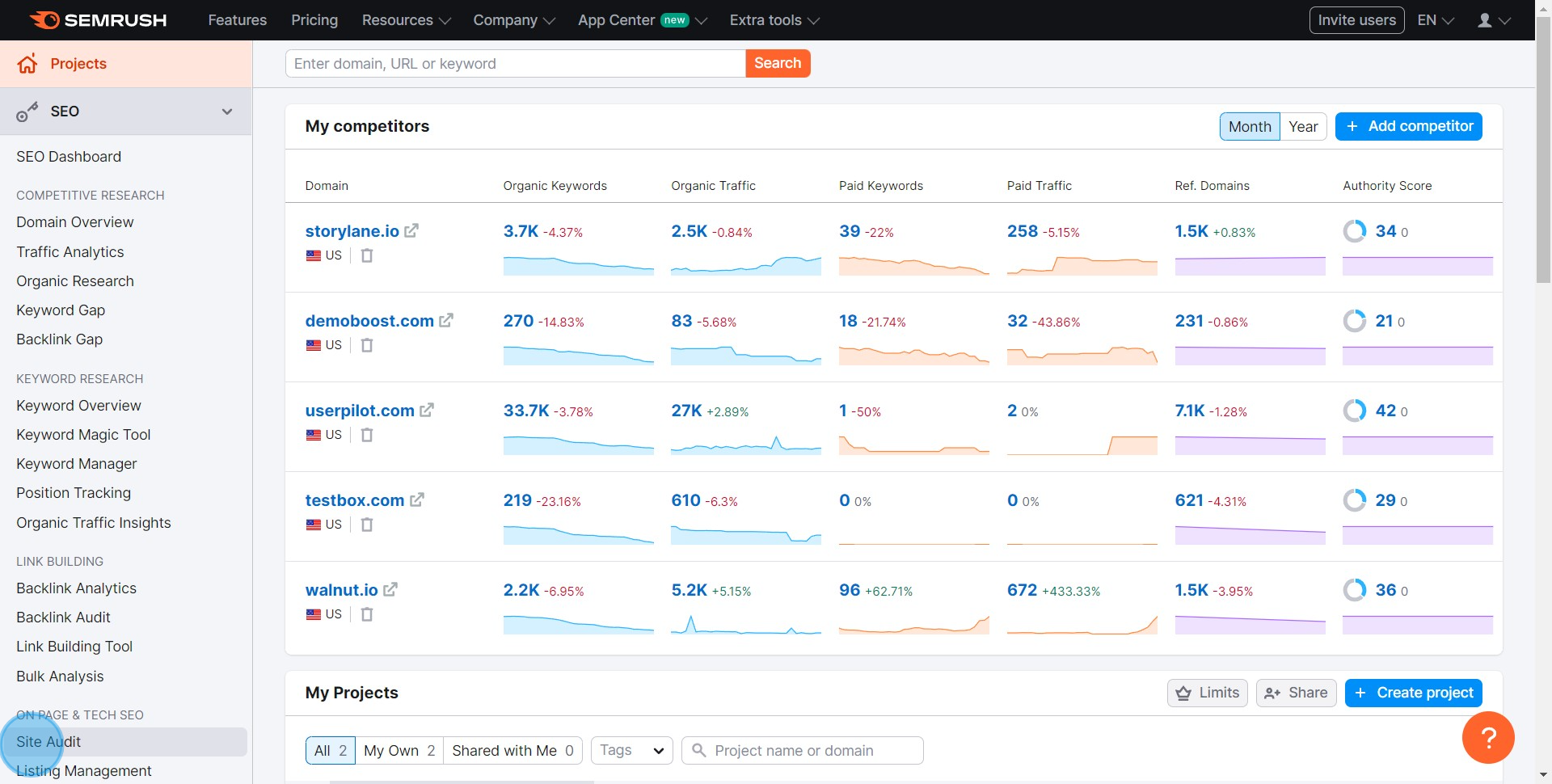 2 Click on "Site Audit"