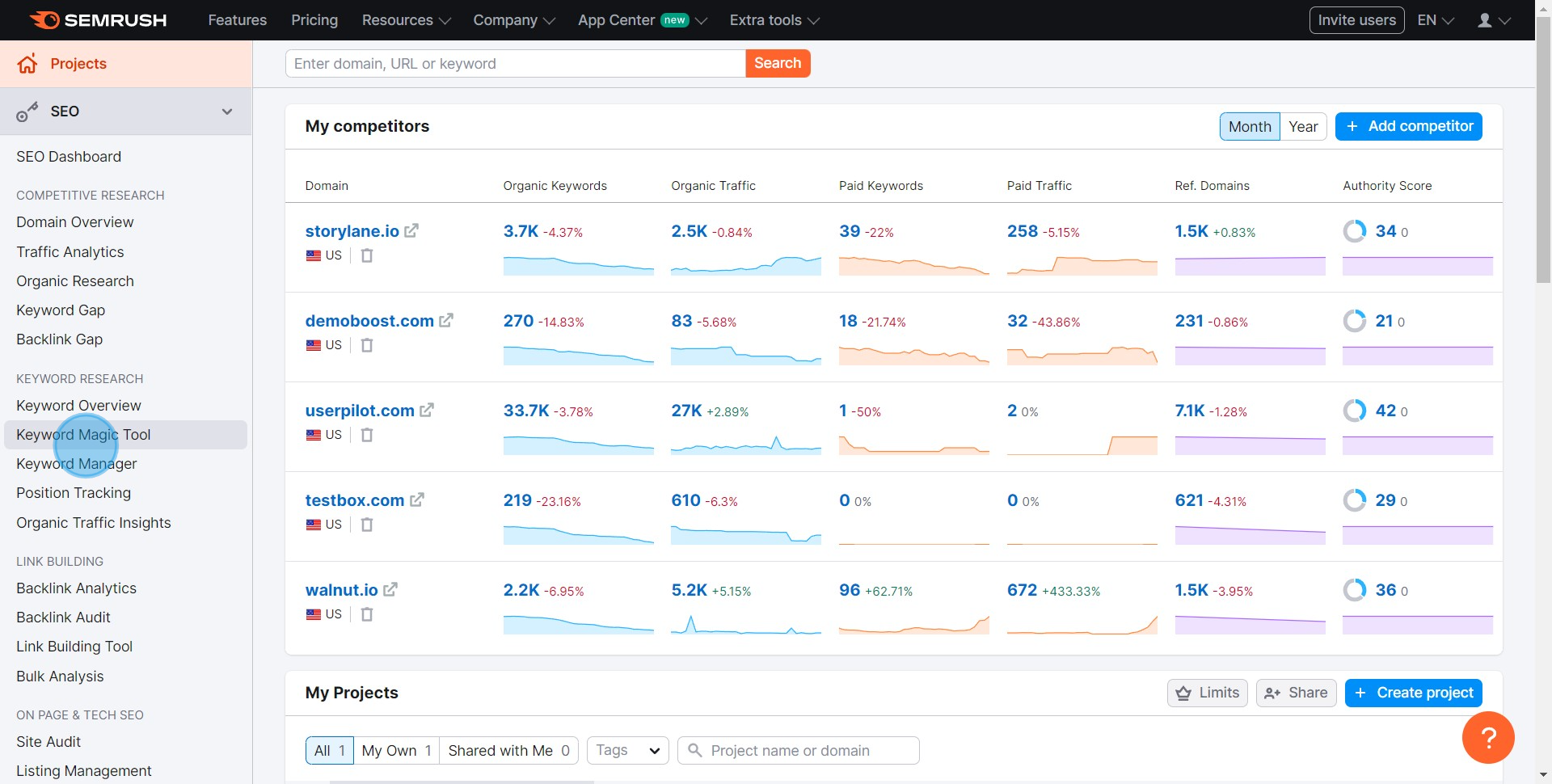 2 Click on "Keyword Magic Tool"