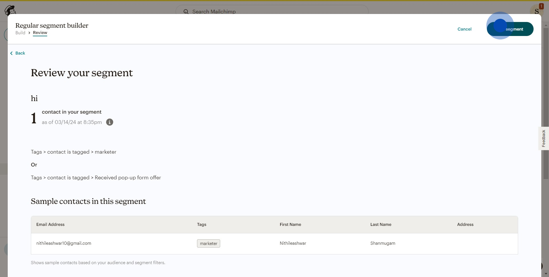 8 Click on "Use segment"