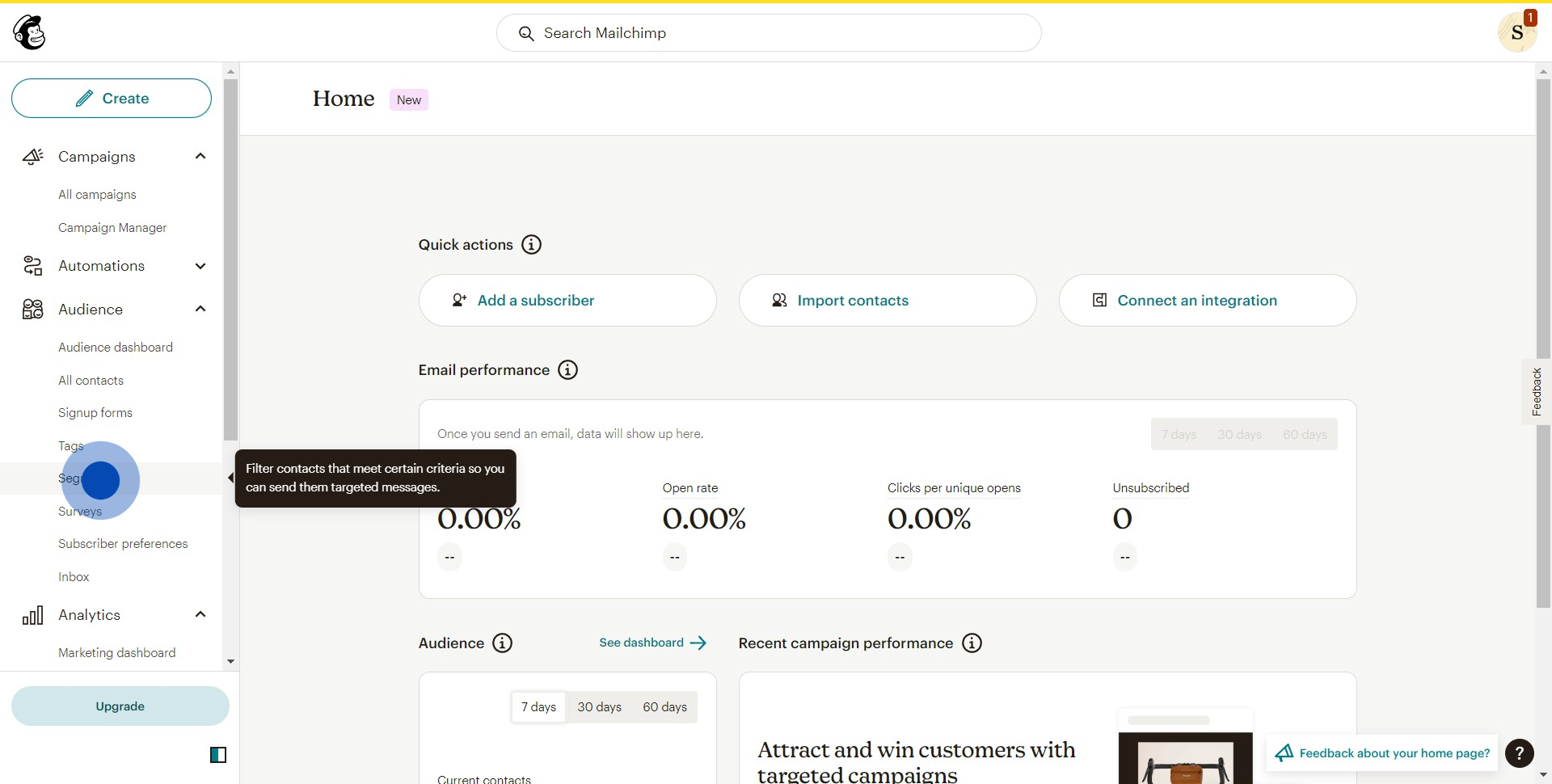 2 Click on "Segments"